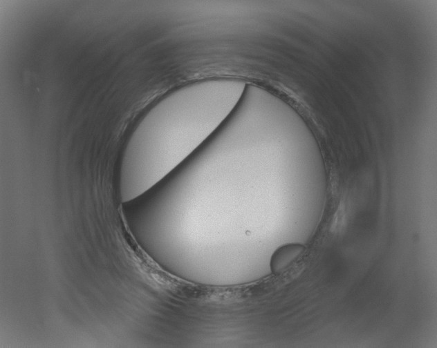 X0000051860353200506241008