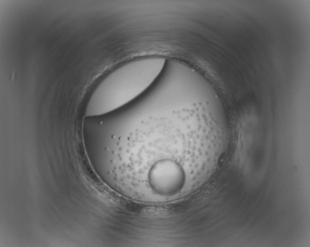 X0000051860354200506241008