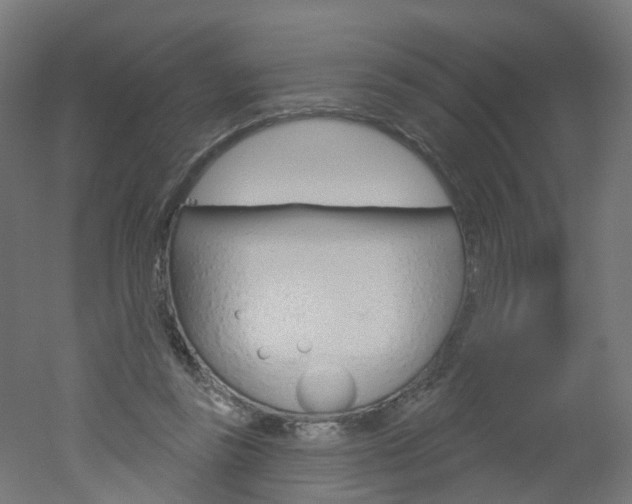 X0000051860355200506241008