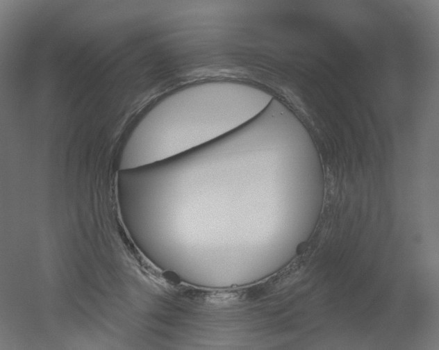 X0000051860357200506241008