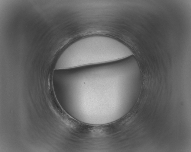 X0000051860358200506241008