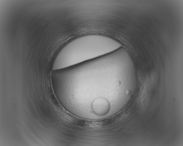 X0000051860359200506241008