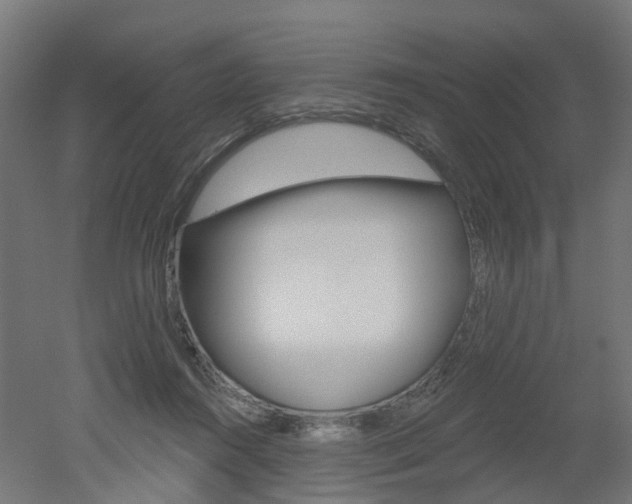 X0000051860360200506241008