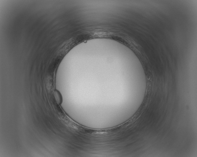 X0000051860361200506241008