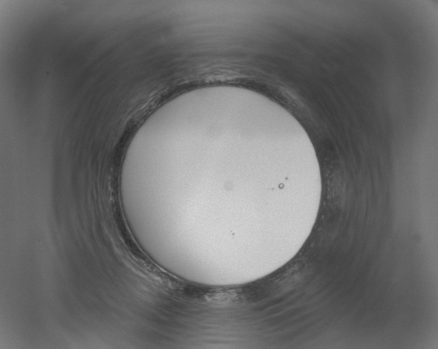 X0000051860362200506241008