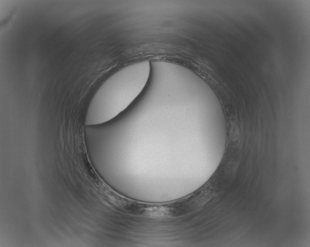 X0000051860363200506241008