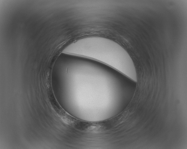 X0000051860364200506241008