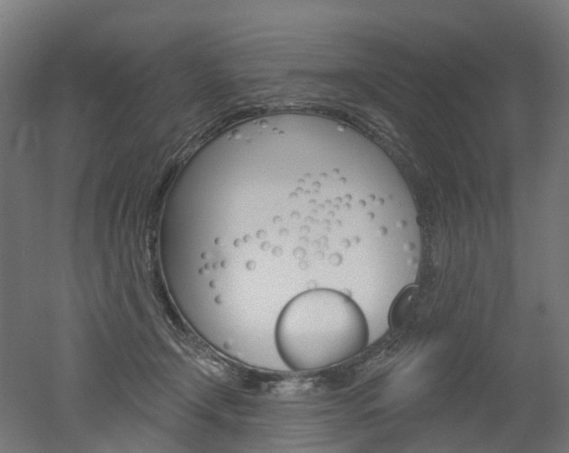 X0000051860366200506241008