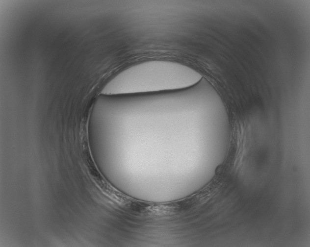 X0000051860367200506241008