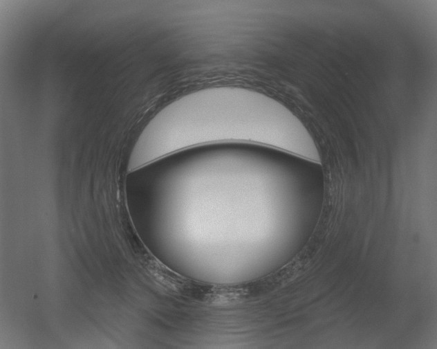 X0000051860368200506241008