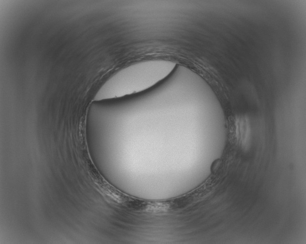 X0000051860369200506241008