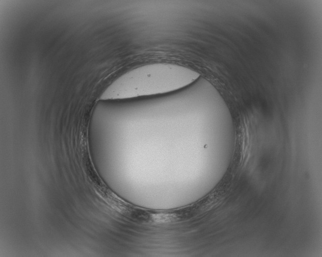 X0000051860371200506241008