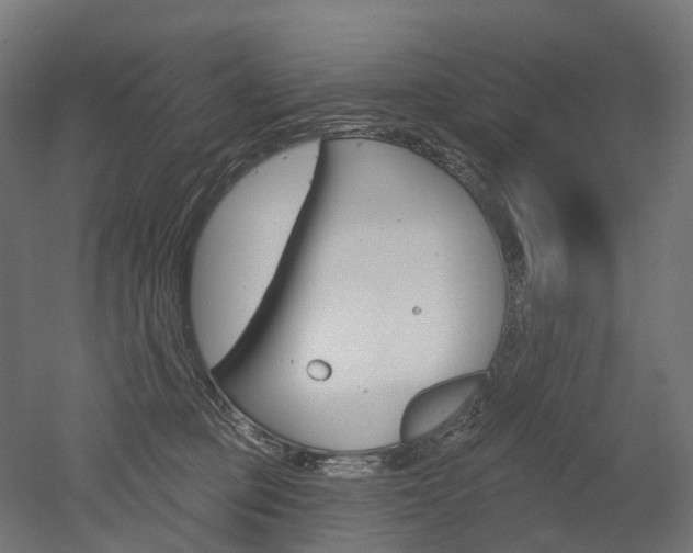 X0000051860373200506241008