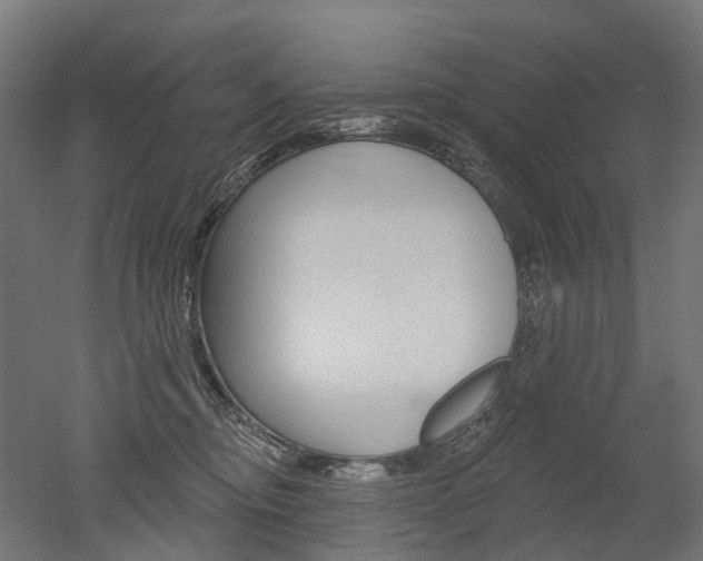 X0000051860374200506241008