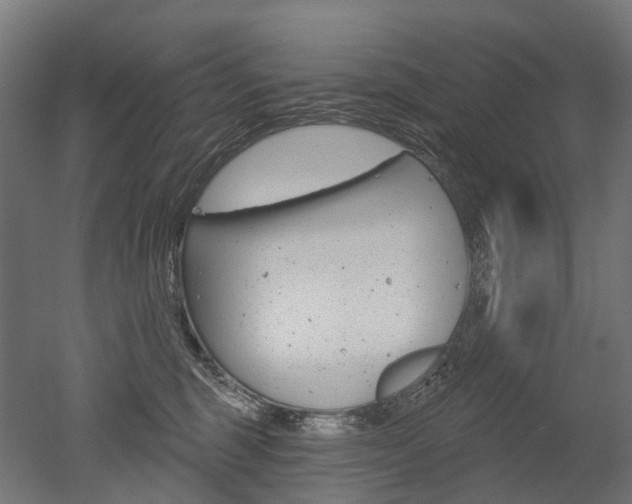 X0000051860375200506241008