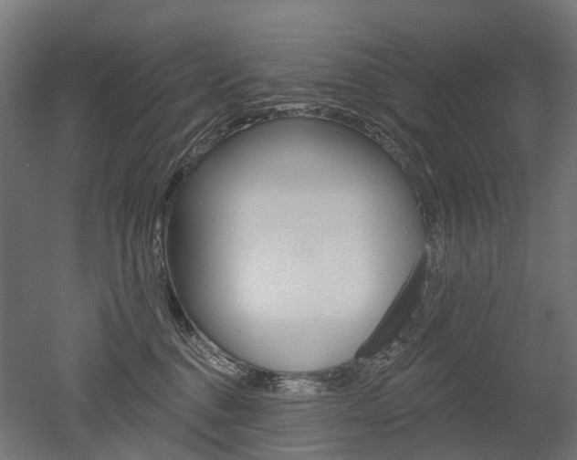 X0000051860376200506241008