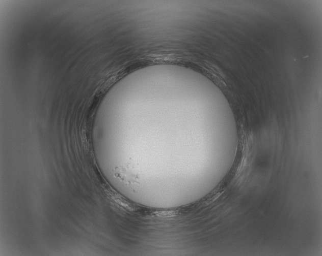 X0000051860377200506241008