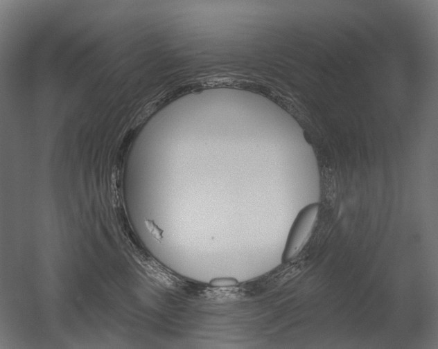 X0000051860378200506241008