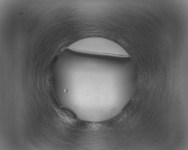 X0000051860379200506241008