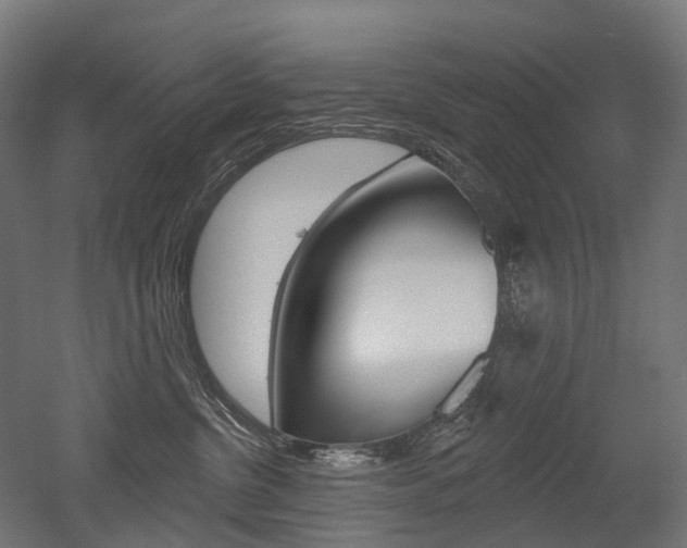 X0000051860380200506241008