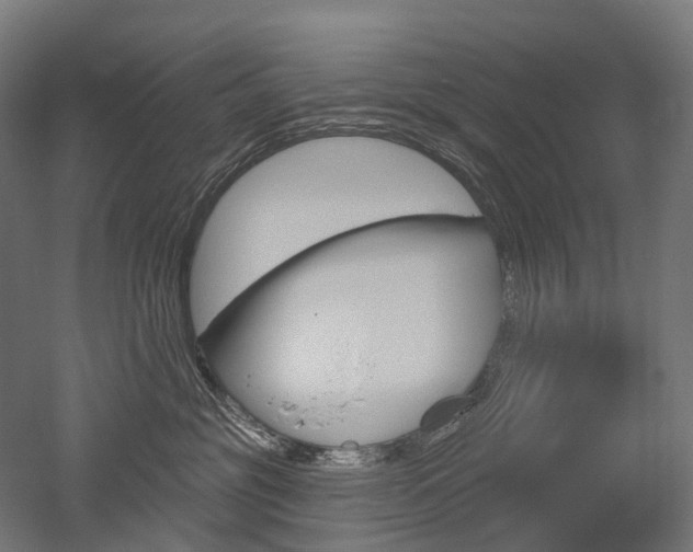 X0000051860381200506241008