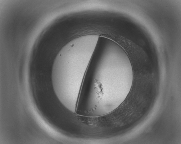 X0000051860382200506241008