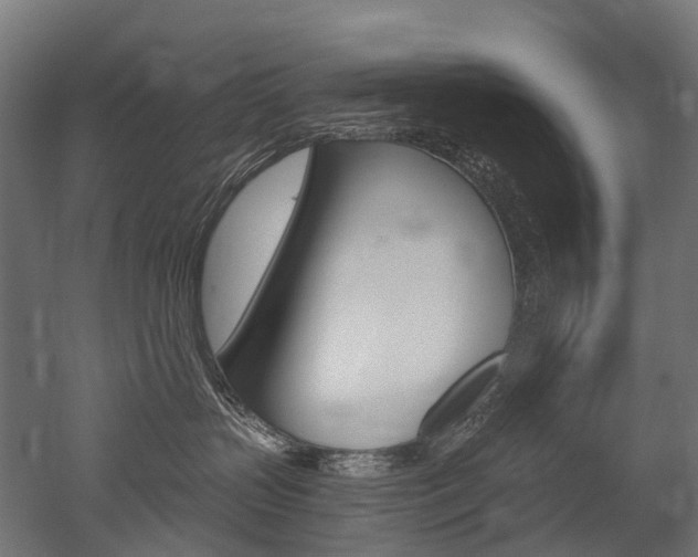 X0000051860383200506241008