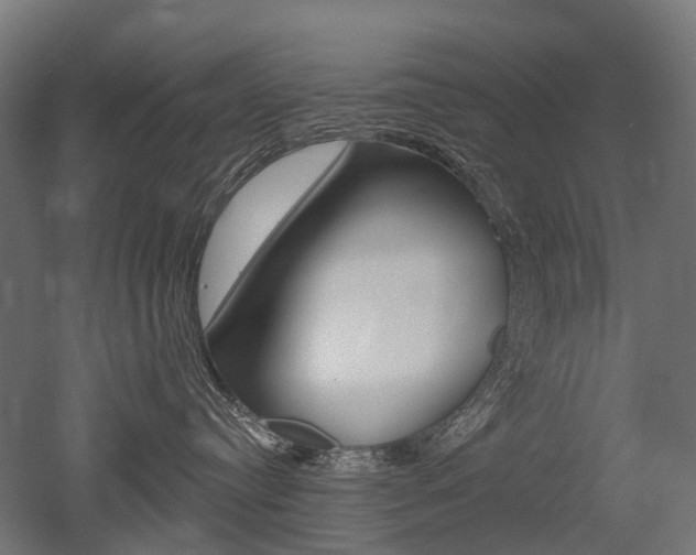 X0000051860384200506241009