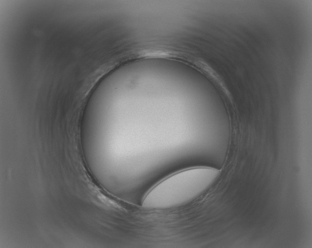 X0000051860385200506241008