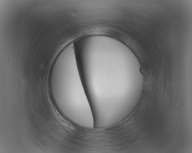 X0000051860386200506241008