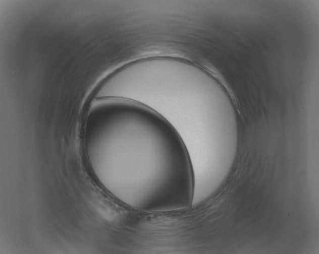 X0000051860387200506241008