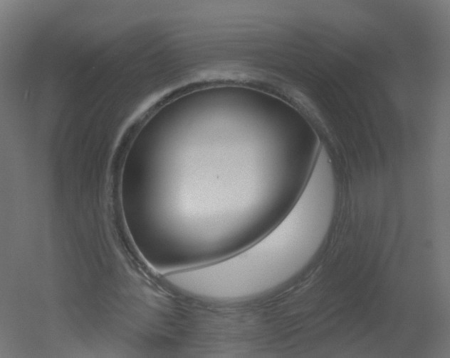 X0000051860388200506241008