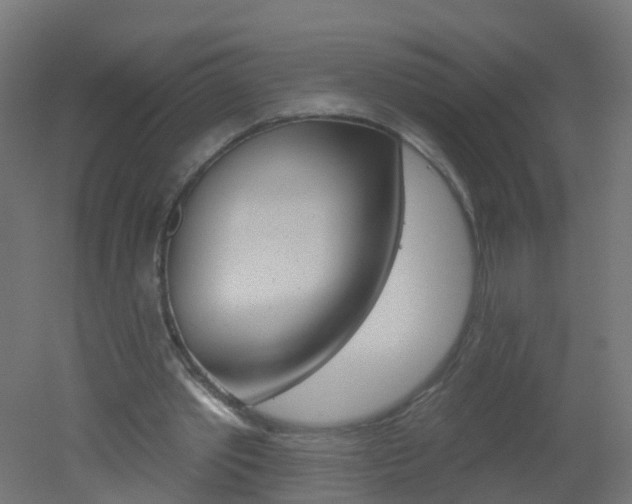 X0000051860389200506241008