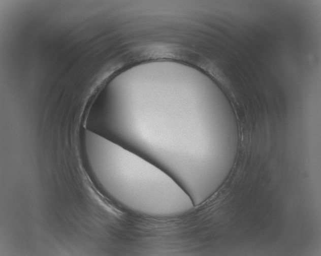 X0000051860390200506241008