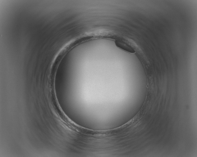 X0000051860392200506241008