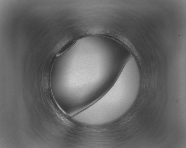 X0000051860393200506241008