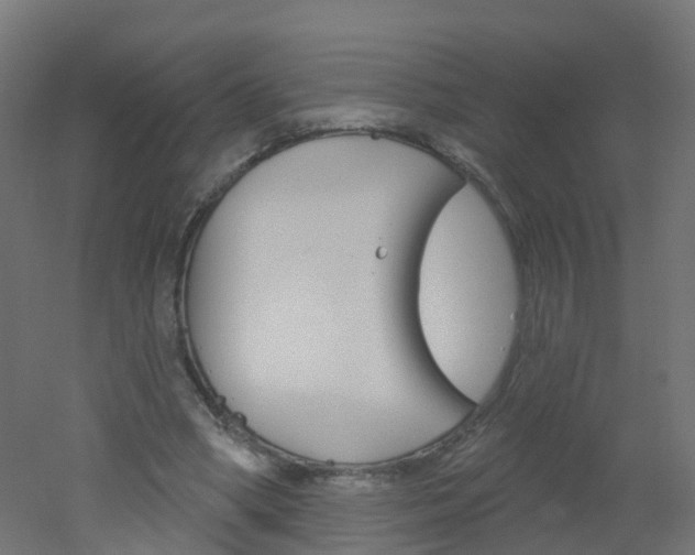 X0000051860394200506241008