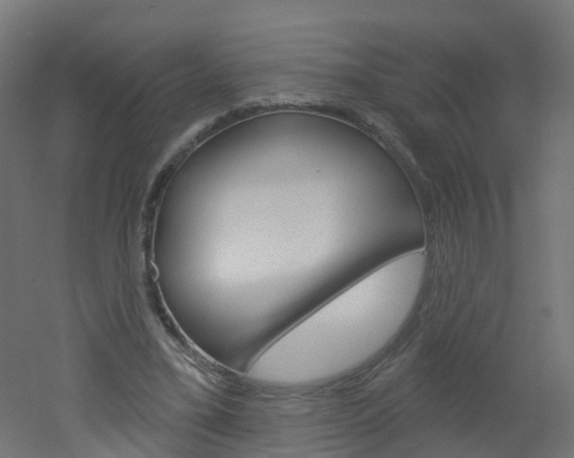 X0000051860395200506241008