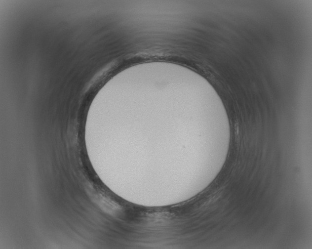 X0000051860396200506241008