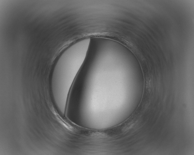 X0000051860397200506241008