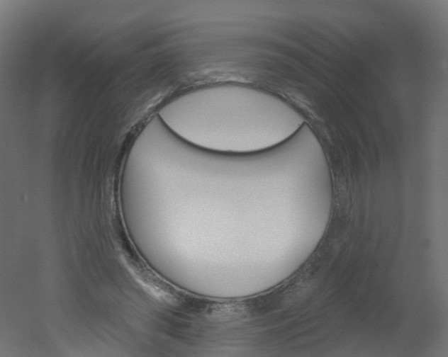 X0000051860398200506241007