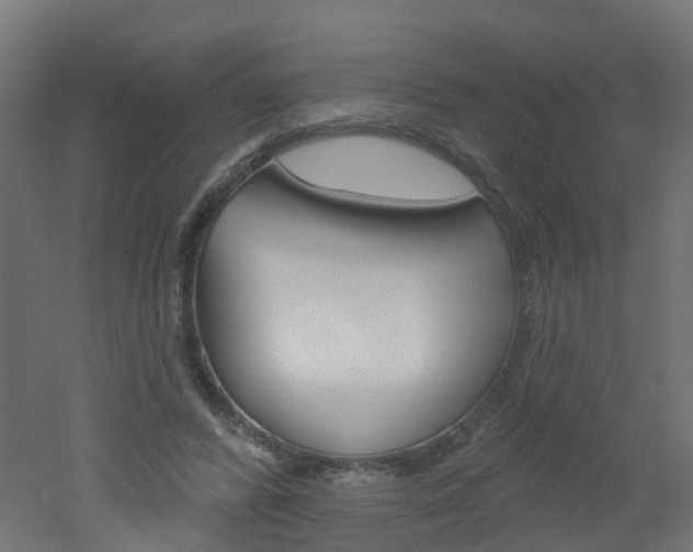 X0000051860400200506241007