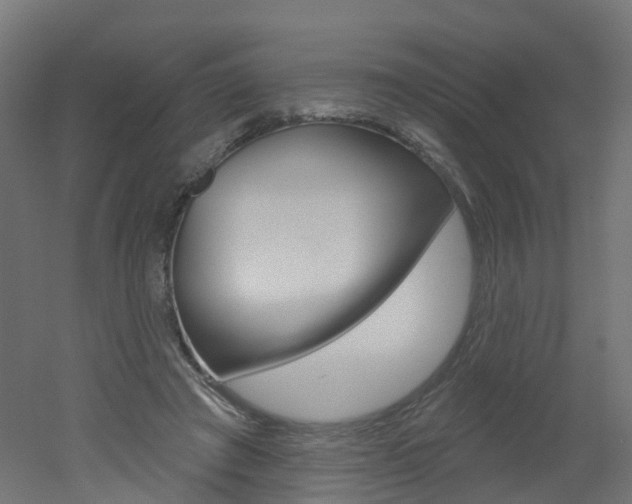 X0000051860401200506241007