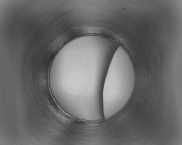 X0000051860402200506241007