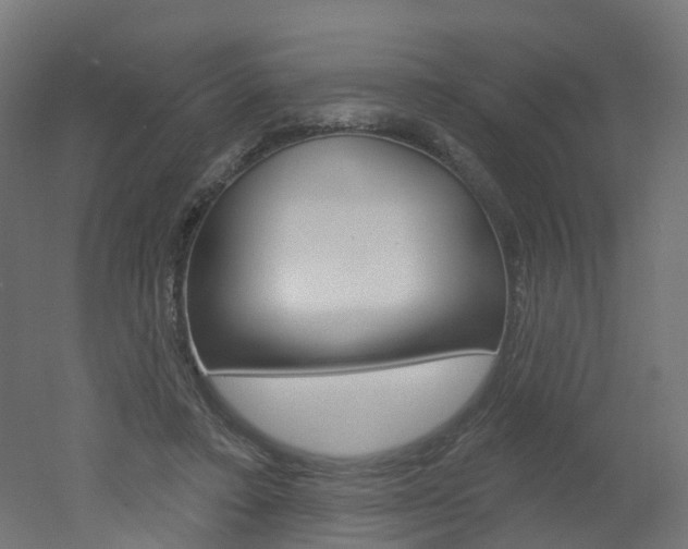 X0000051860403200506241007