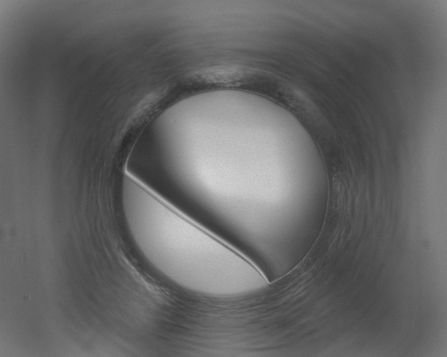 X0000051860404200506241007