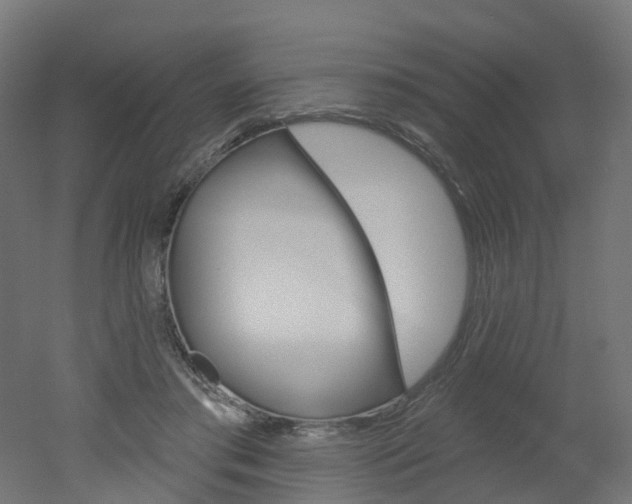 X0000051860405200506241007