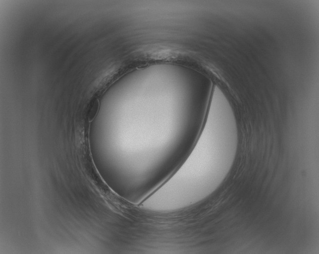 X0000051860407200506241007