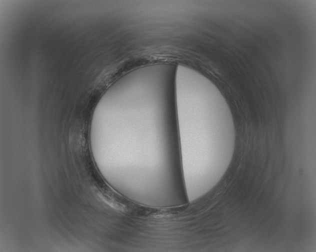 X0000051860408200506241007