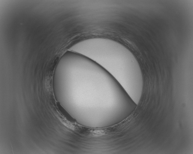 X0000051860409200506241007